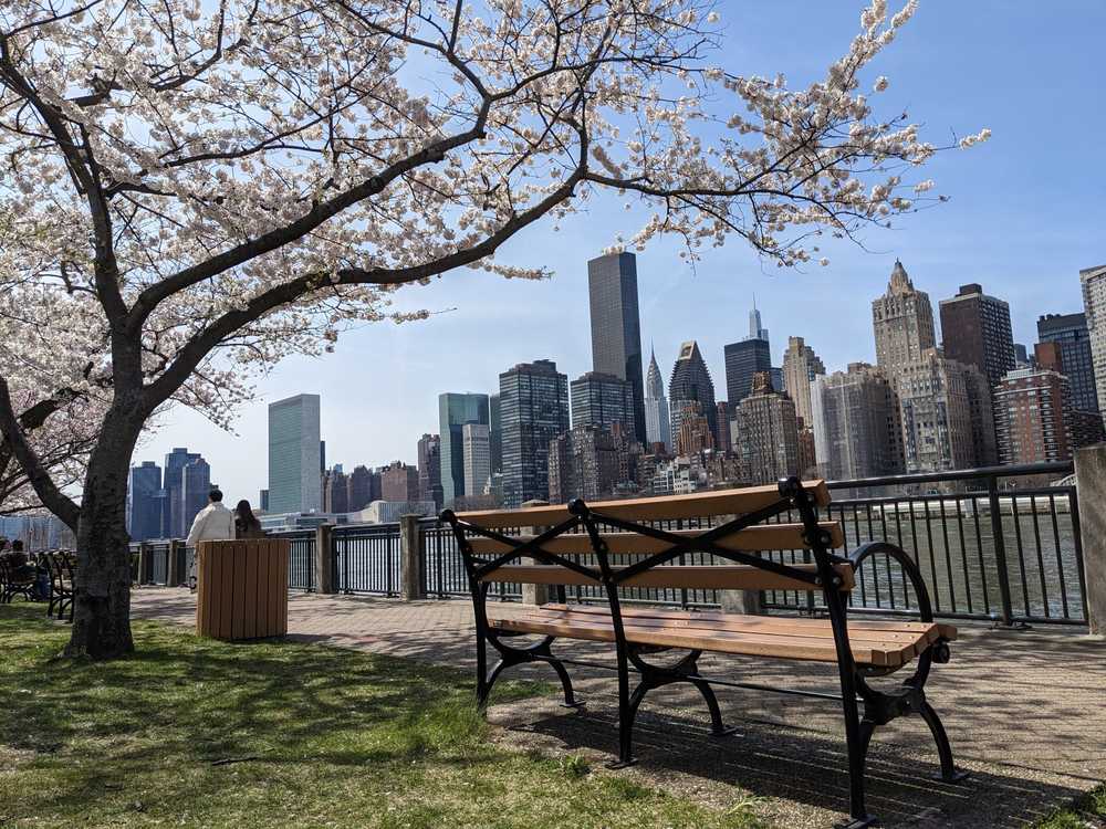 A view of Manhattan from a bench on Roosevelt Island